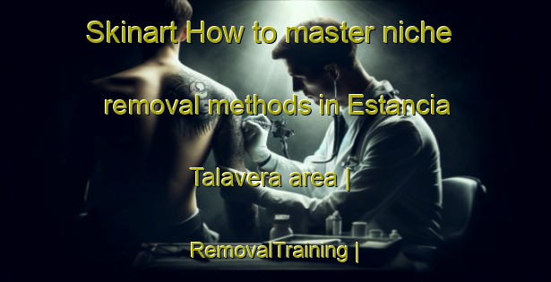 Skinart How to master niche removal methods in Estancia Talavera area | RemovalTraining | RemovalClasses | SkinartTraining-Paraguay